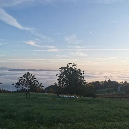 Шале Vila Native & Vila Vilinka Vilinija Buce